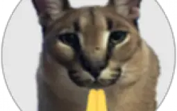 raise a floppa badge difficuykty